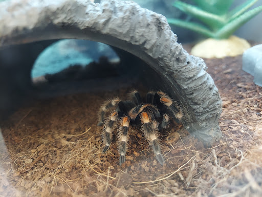 Pet Supply Store «Petco Animal Supplies», reviews and photos, 1 US-46, Totowa, NJ 07512, USA