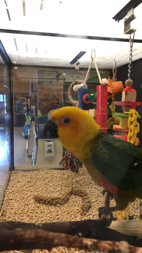 Pet Supply Store «PetSmart», reviews and photos, 2061 Skibo Rd, Fayetteville, NC 28314, USA