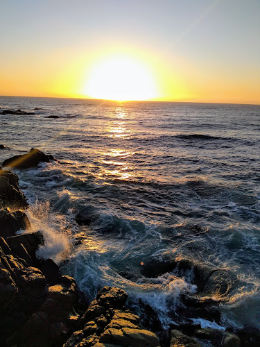 Opiniones de Playa Margarita en Viña del Mar - Aparcamiento