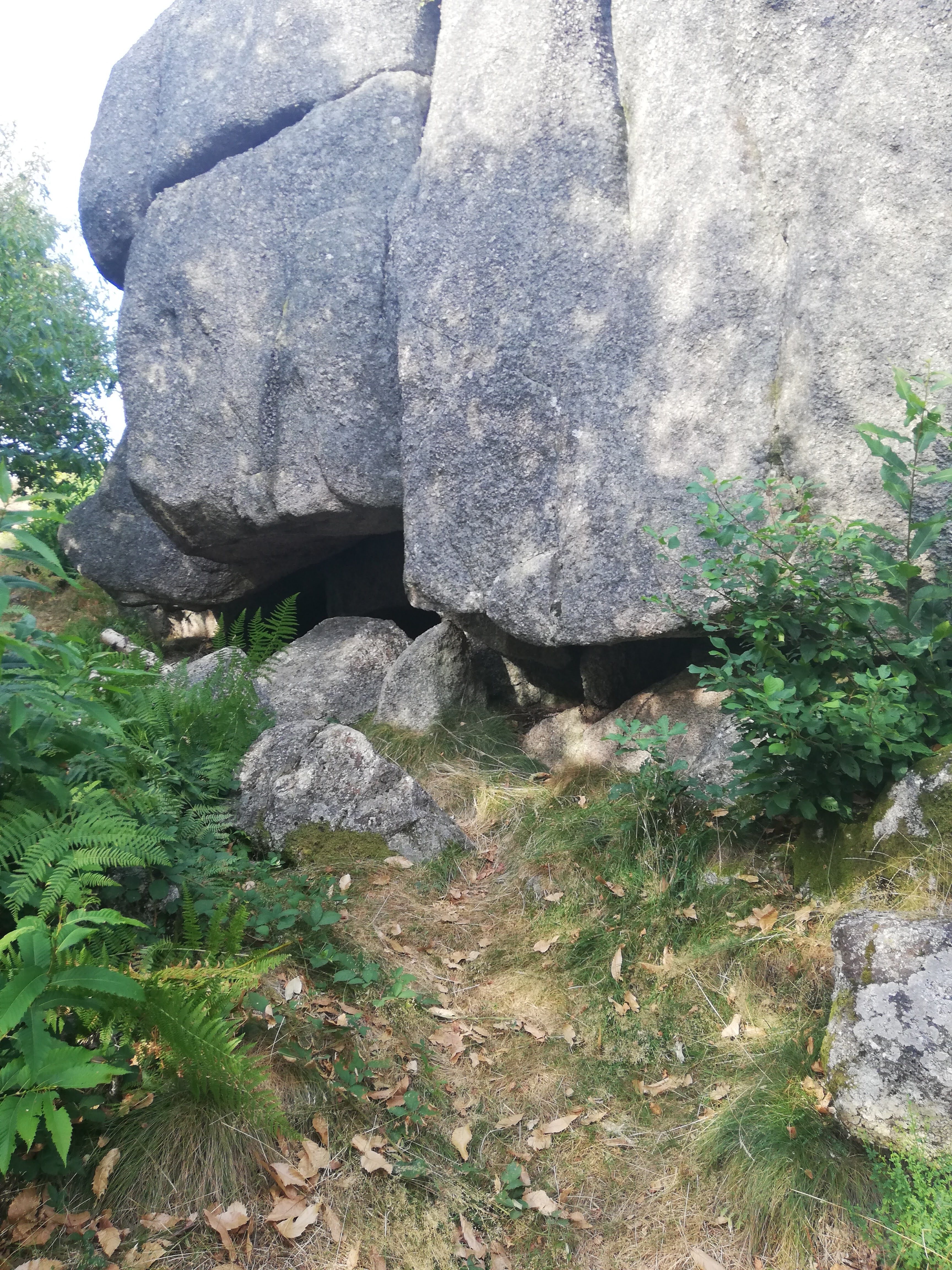 Photo n° 3 de l'avis de Marc. fait le 28/08/2018 à 18:05