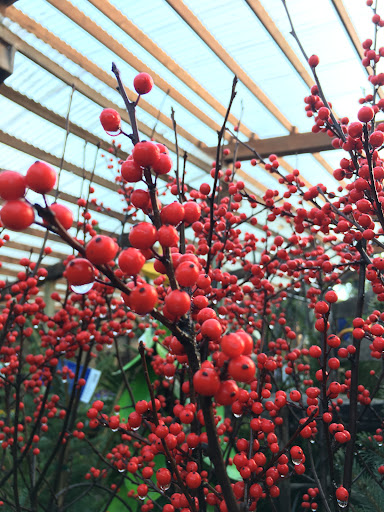 General Contractor «Laurel Bay Gardens Inc», reviews and photos, 88493 US-101, Florence, OR 97439, USA