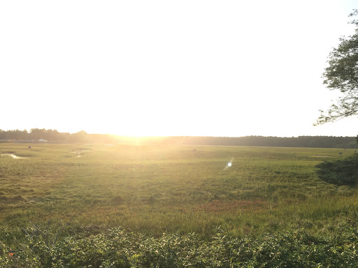  «Chrysler Building», reviews and photos, 405 Lexington Ave, New York, NY 10174, USA
