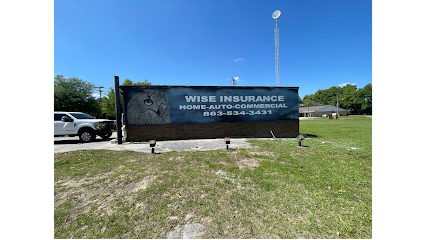 Wise Insurance Agency L.L.C