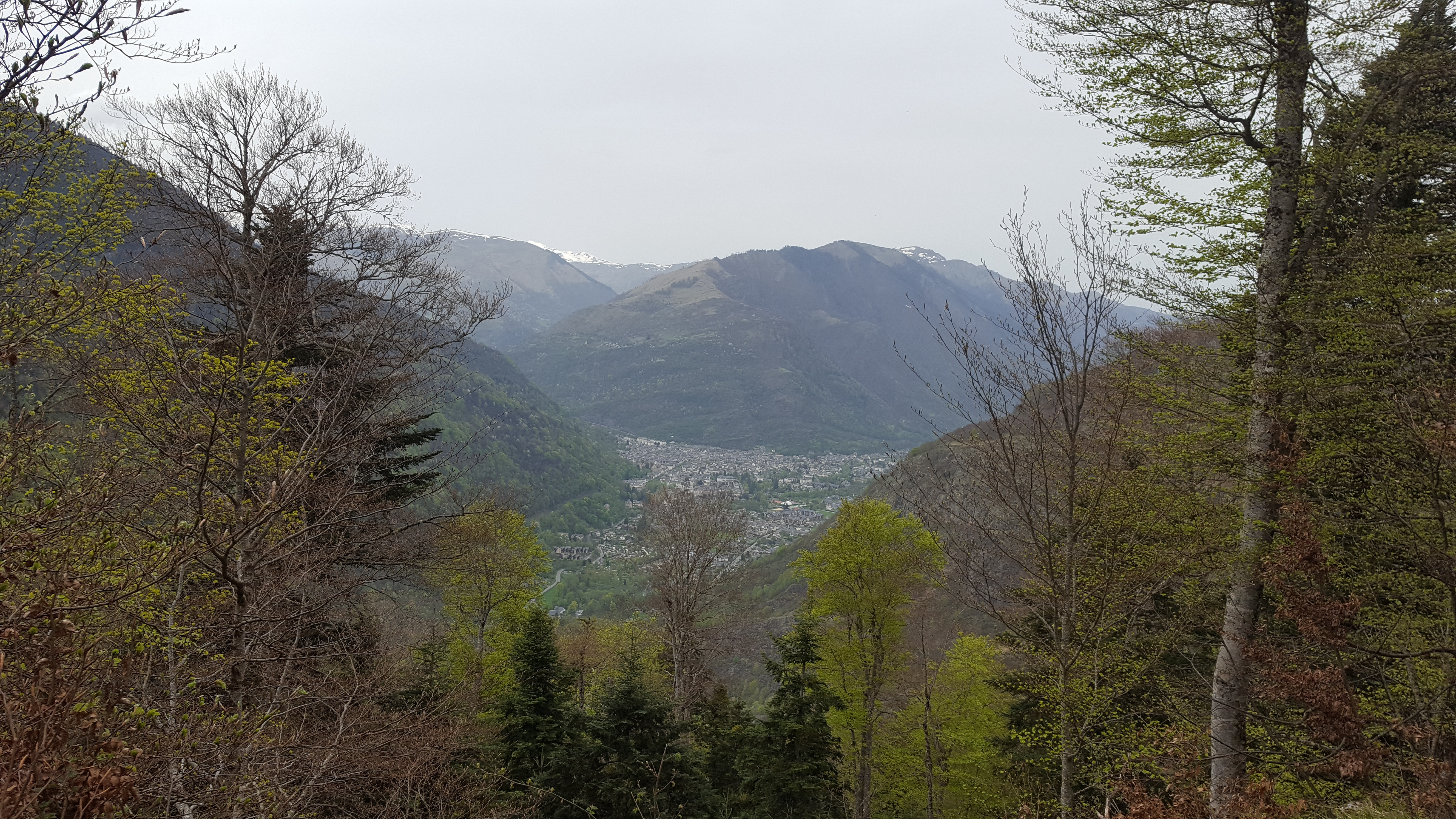 Photo n° 2 de l'avis de Michel. fait le 25/04/2018 à 06:31