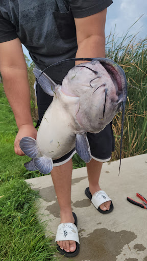 Park «Lake Park», reviews and photos, 2100-2198 Lee St, Des Plaines, IL 60018, USA