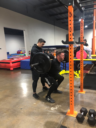The Adaptive Athlete image