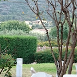 Photo n°1 de l'avis de Rene.e fait le 12/07/2017 à 07:04 sur le  Hotel Ristorante Janas à Tertenia