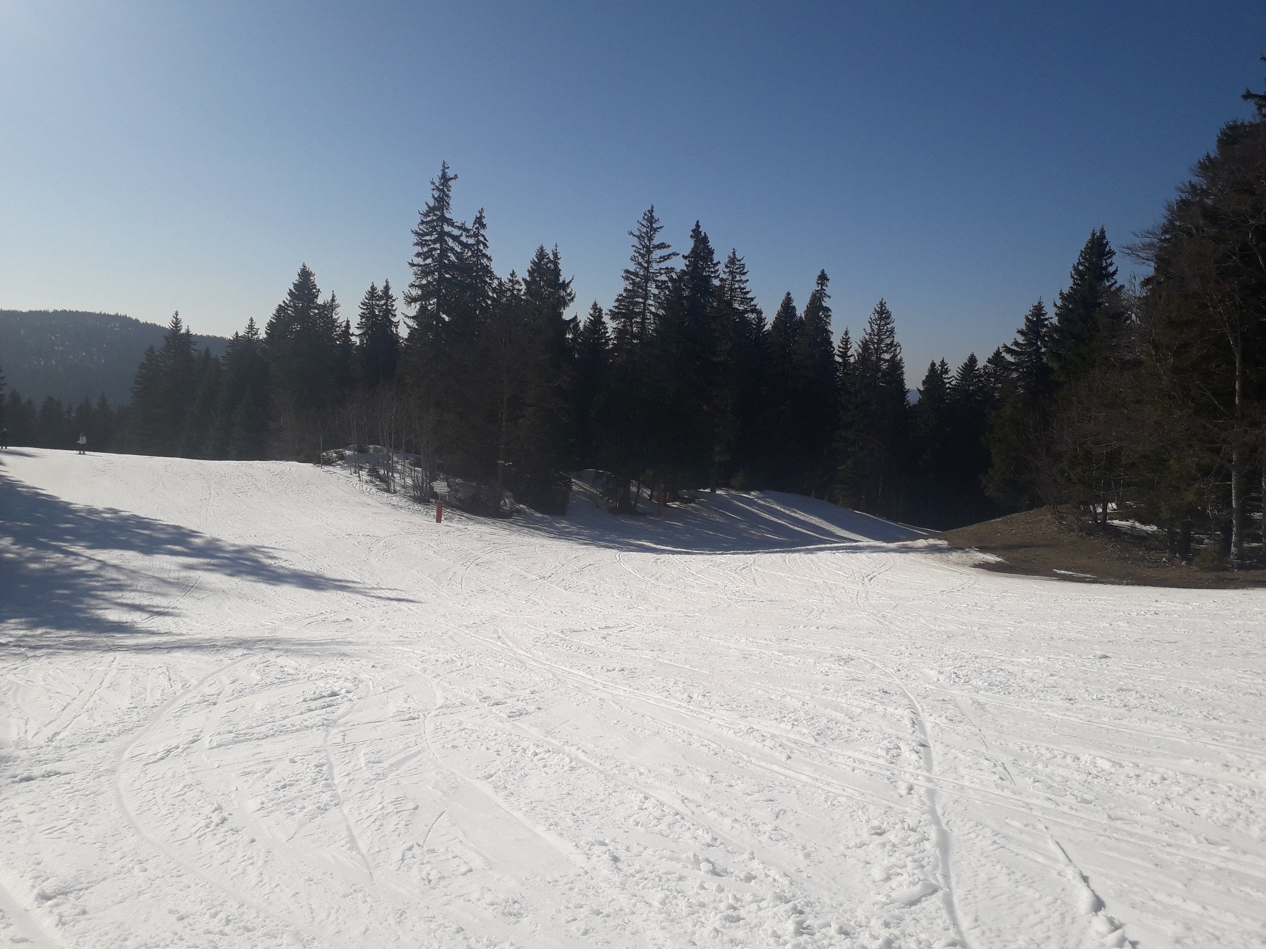Photo n° 1 de l'avis de F. fait le 23/03/2019 à 16:09