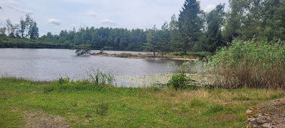 Les Parières à Faucogney-et-la-Mer