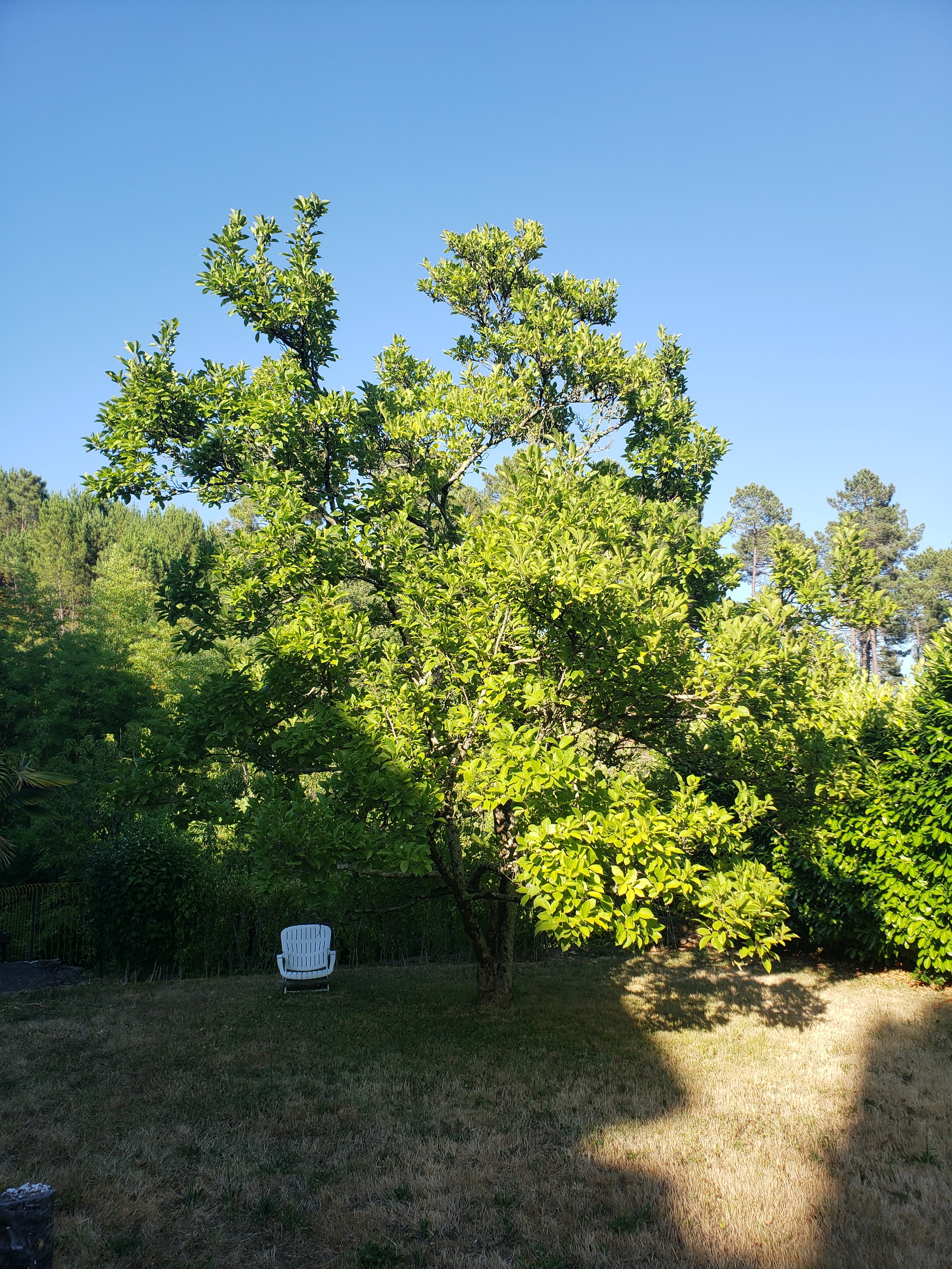 Photo n° 3 de l'avis de Aurélien.a fait le 24/07/2022 à 14:18
