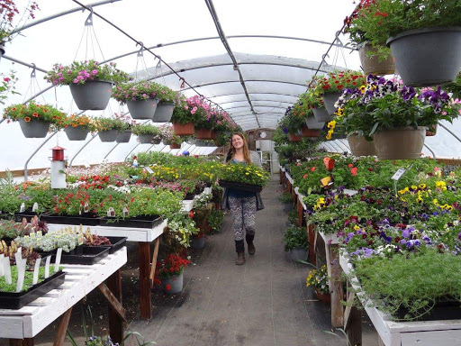 Basket Case Greenhouse