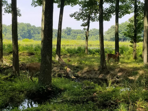 Public Golf Course «Queenstown Harbor Golf Course», reviews and photos, 310 Links Ln, Queenstown, MD 21658, USA