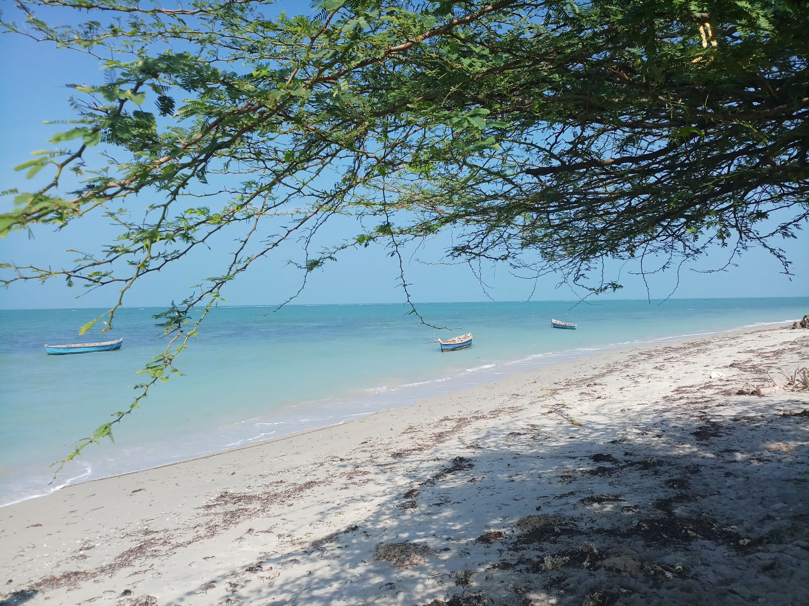 Foto di Cabana Coral Reef Beach con una superficie del sabbia beige
