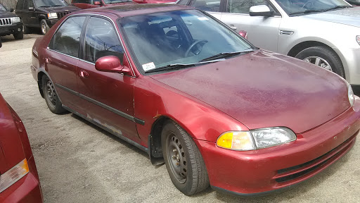 Charity «Helping Hands of America», reviews and photos