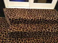 Todds Carpet and Upholstery Care LLC - Photo 7 - Car repair in Kansas City, MO, Kansas City