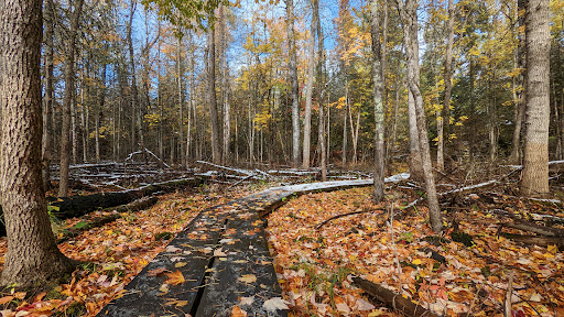 National Park «Voyageurs National Park», reviews and photos