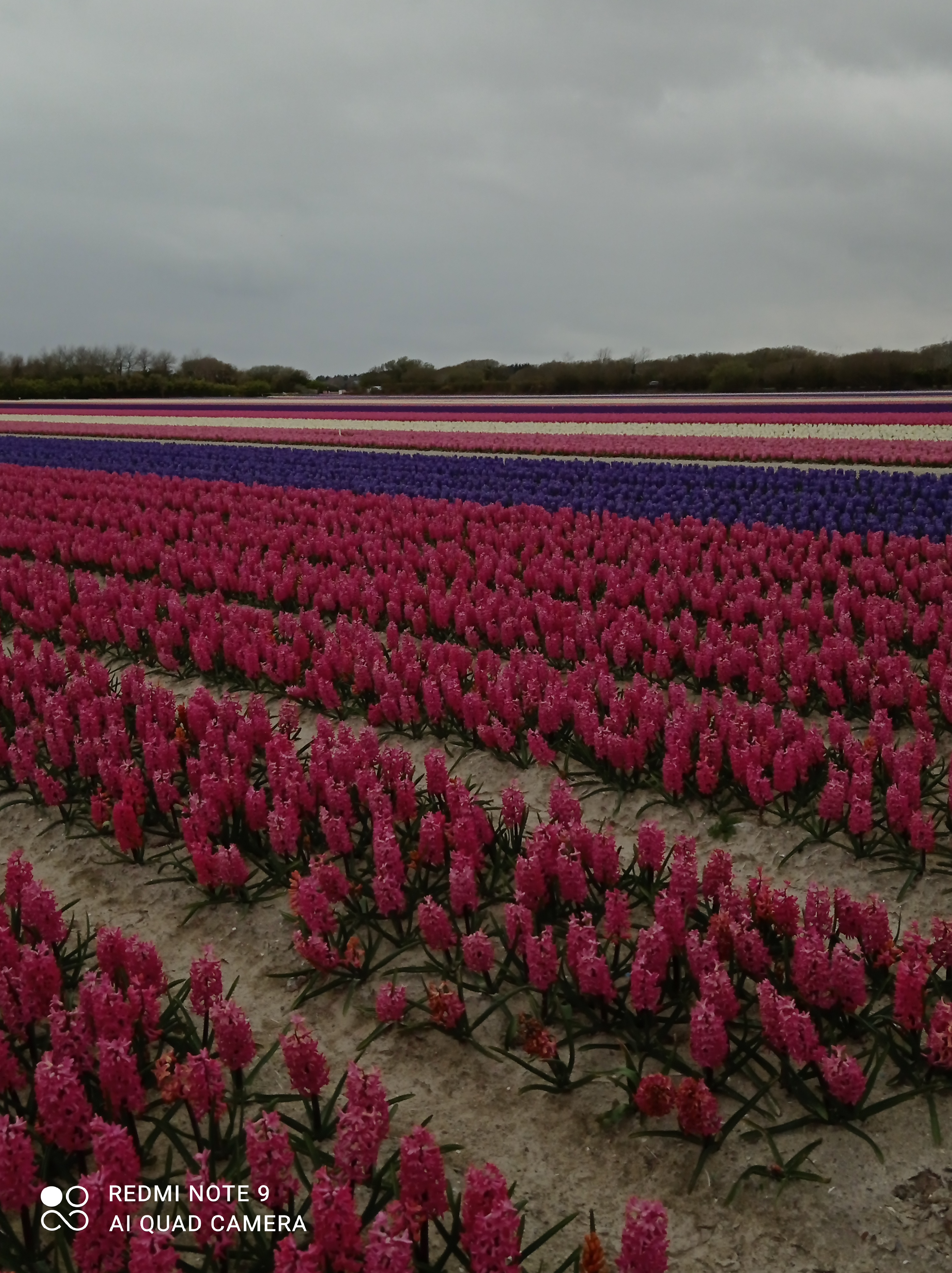 Photo n° 3 de l'avis de Isa. fait le 21/03/2021 à 14:45