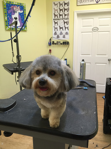 Pet Store «Bark Life Market», reviews and photos, 11220 Park Blvd N, Seminole, FL 33772, USA