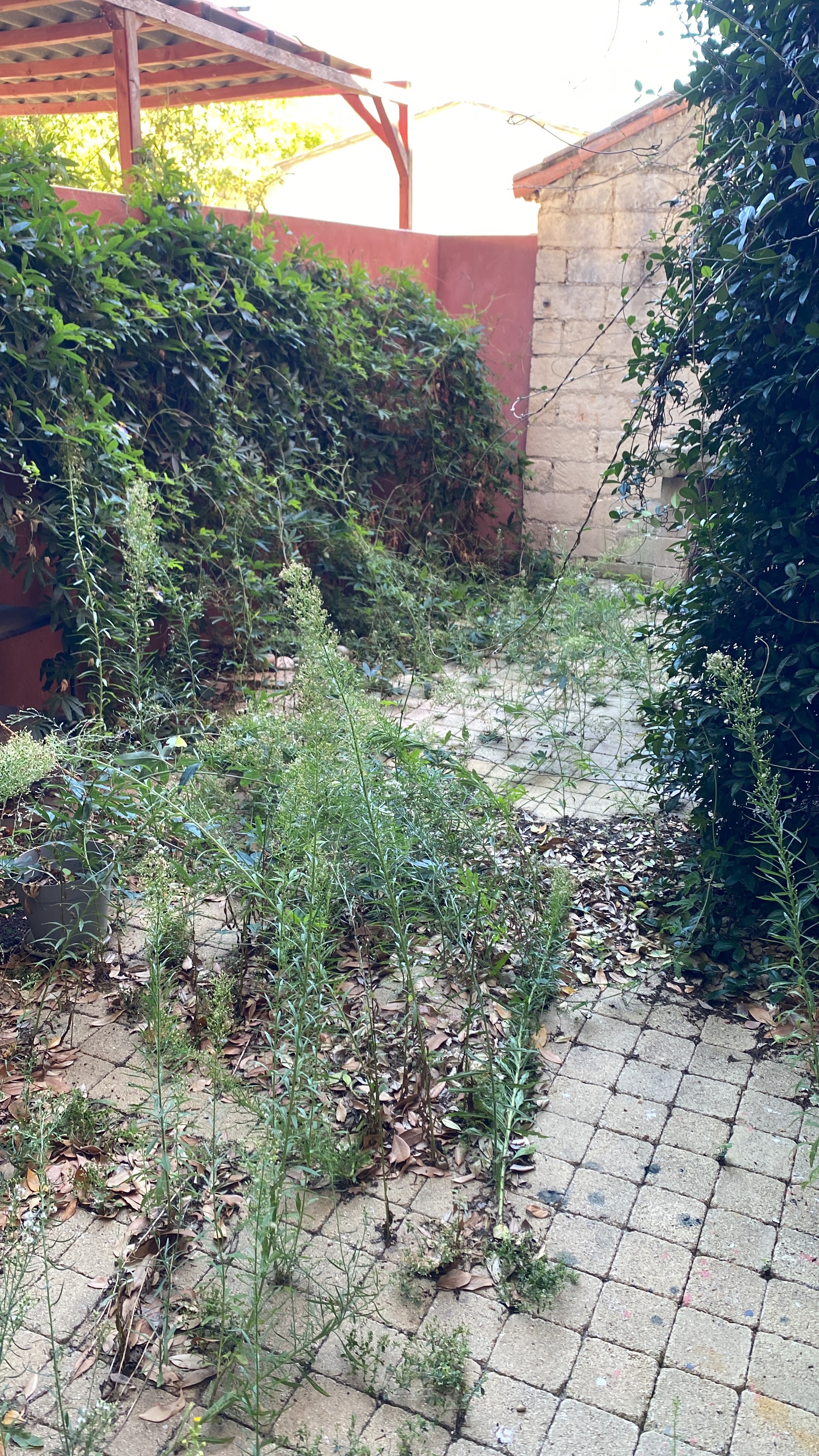 Photo n° 3 de l'avis de Clara.p fait le 09/10/2023 à 11:06