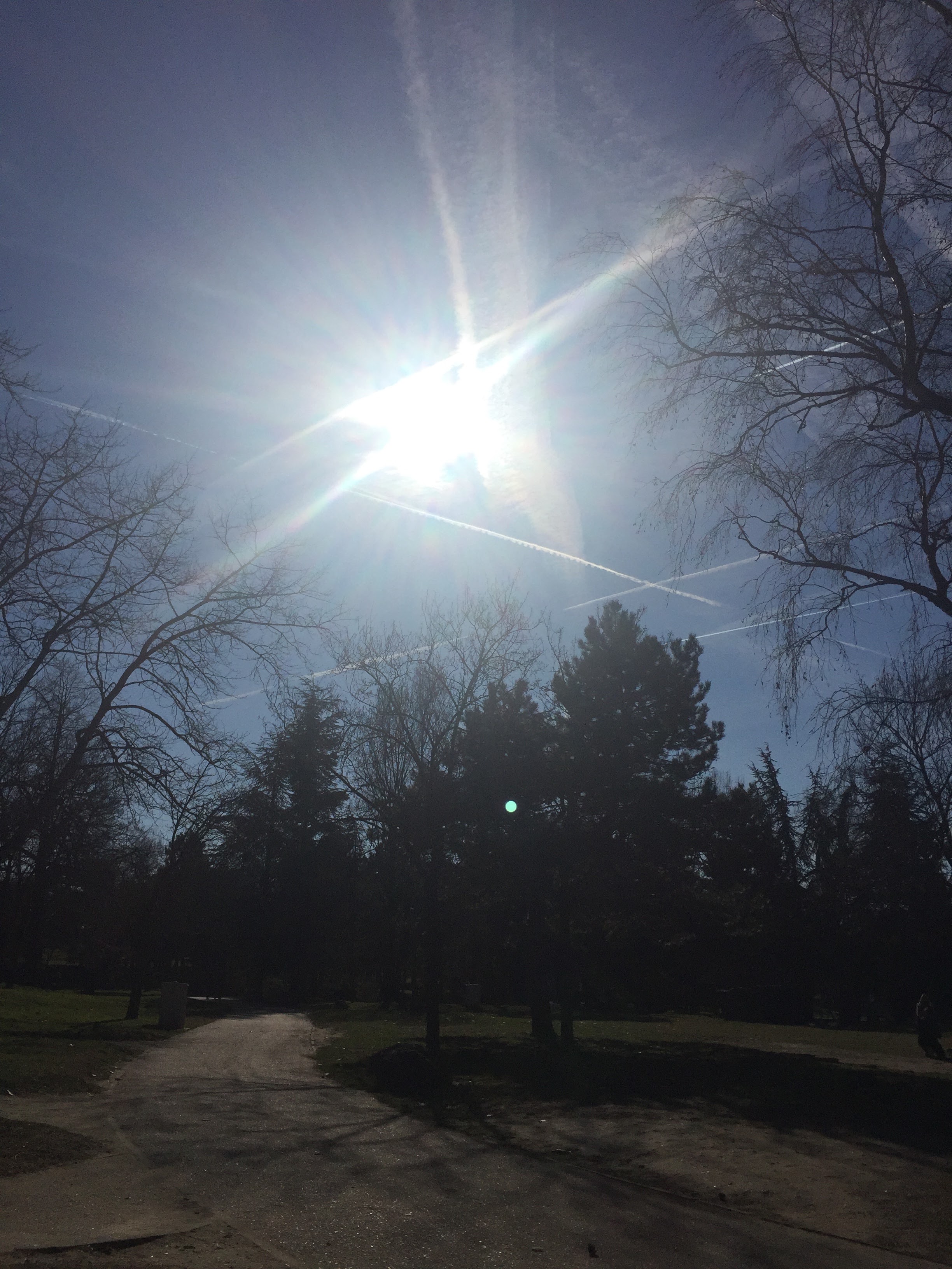 Photo n° 3 de l'avis de sarah.a fait le 17/02/2019 à 16:41