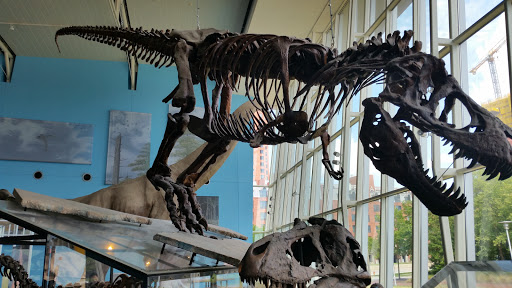 Imax Theater «IMAX at the Maryland Science Center», reviews and photos, 601 Light St, Baltimore, MD 21230, USA