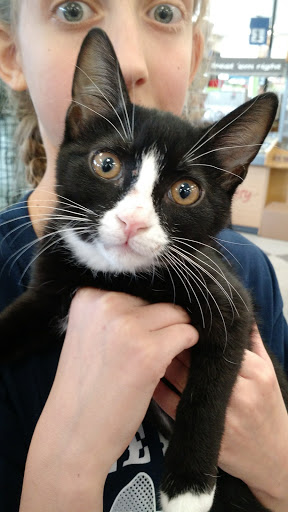 Pet Supply Store «Petco Animal Supplies», reviews and photos, 2722 N Josey Ln #107, Carrollton, TX 75007, USA