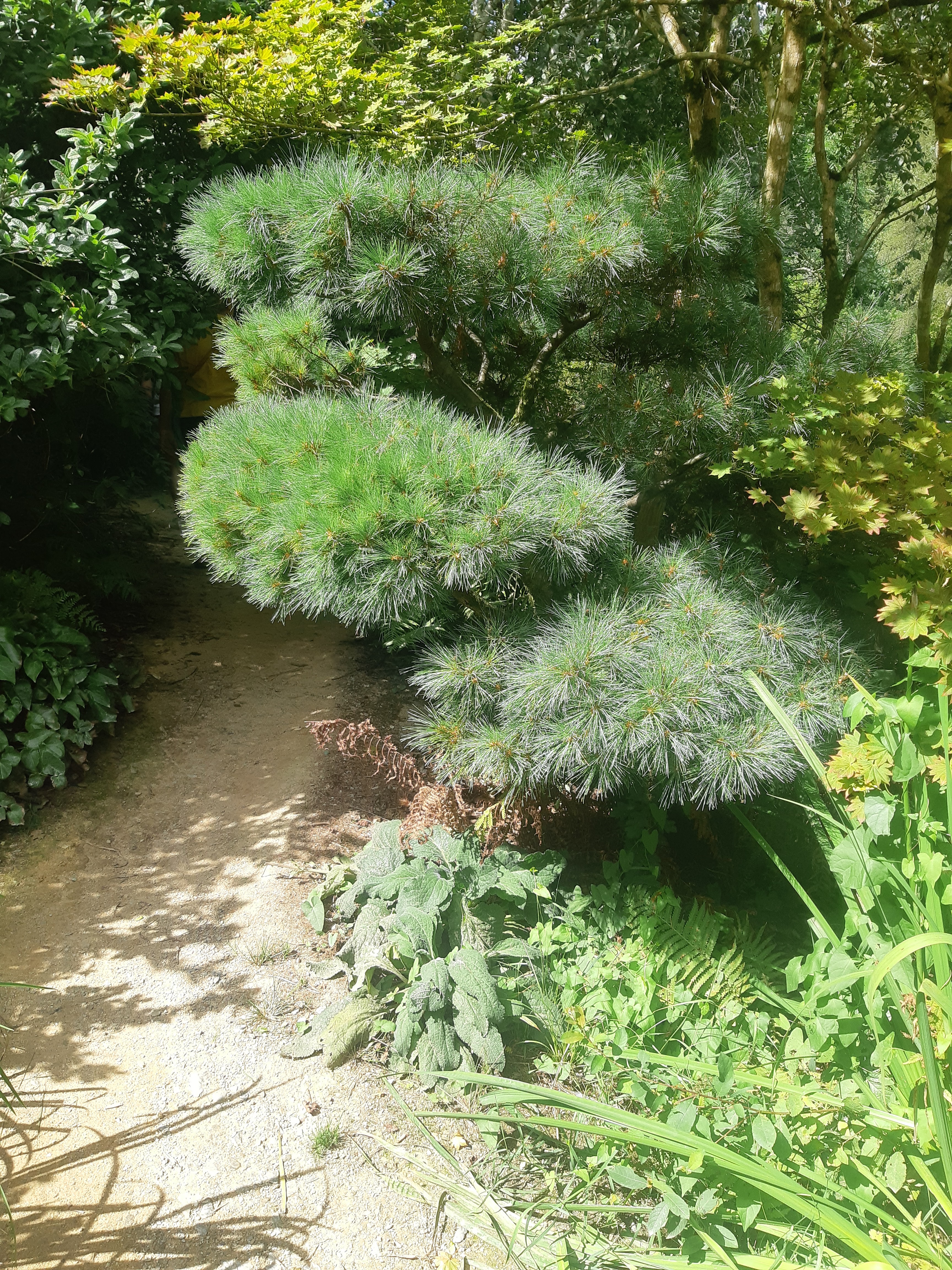Photo n° 26 de l'avis de Monnin.h fait le 30/08/2022 à 15:51