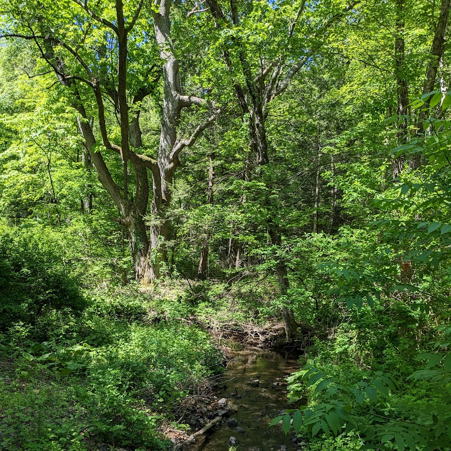 Trout Brook Valley Preserve