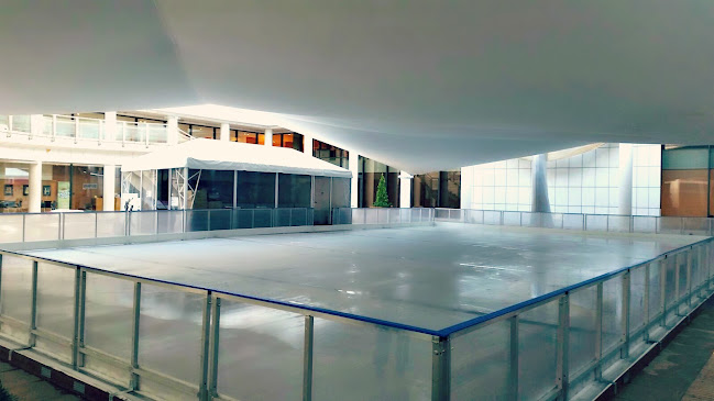 http://www.icearena.gr/