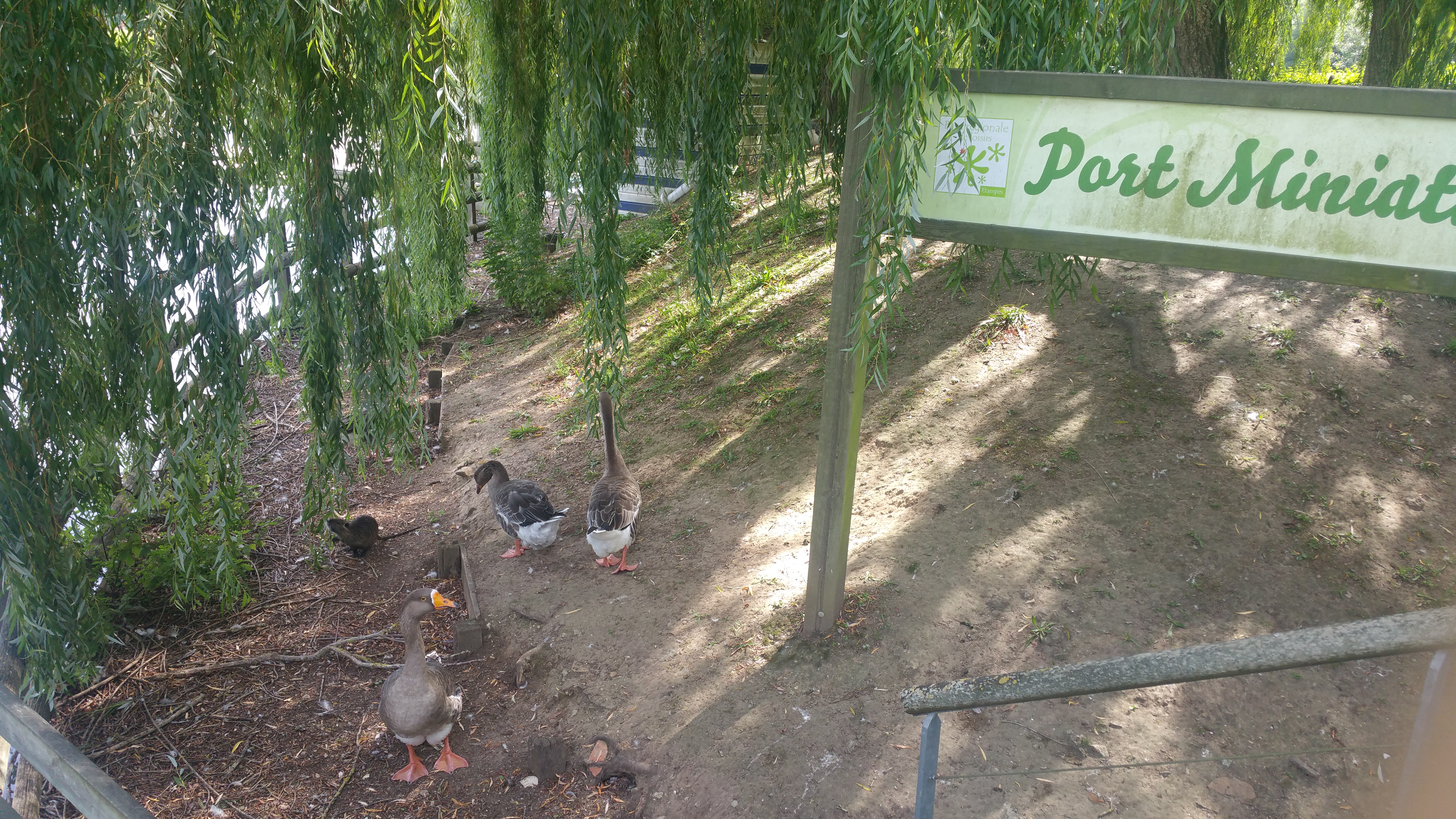 Photo n° 1 de l'avis de Sophie.l fait le 05/09/2019 à 06:24