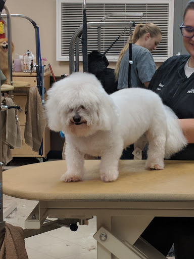 Pet Supply Store «PetSmart», reviews and photos, 2017 N Prospect Ave, Champaign, IL 61822, USA