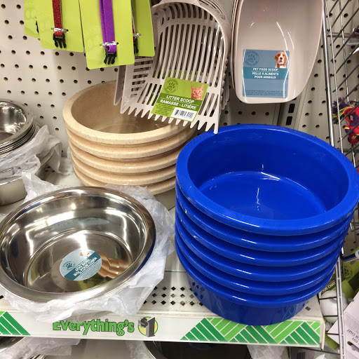 Dollar Store «Dollar Tree», reviews and photos, 1952 State Rd 44, New Smyrna Beach, FL 32168, USA