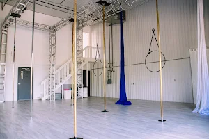 AcroPark - Aerial Circus & Pole Fitness School image