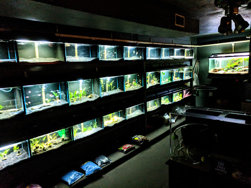 Aquarium «Syracuse Aquarium & Pond Supply», reviews and photos, 4618 North St, Jamesville, NY 13078, USA