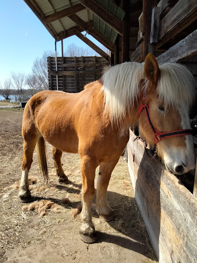 Produce Market «Natura Farms», reviews and photos, 19060 Manning Trail N, Marine on St Croix, MN 55047, USA