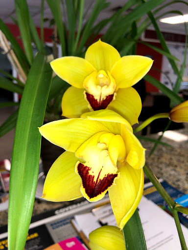 Used Car Dealer «Roswell Auto Imports», reviews and photos, 2103 Austell Rd SW, Marietta, GA 30008, USA