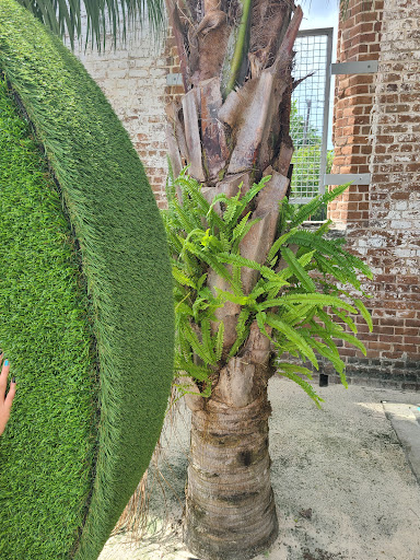 Museum «SCAD Museum of Art», reviews and photos, 601 Turner Blvd, Savannah, GA 31401, USA