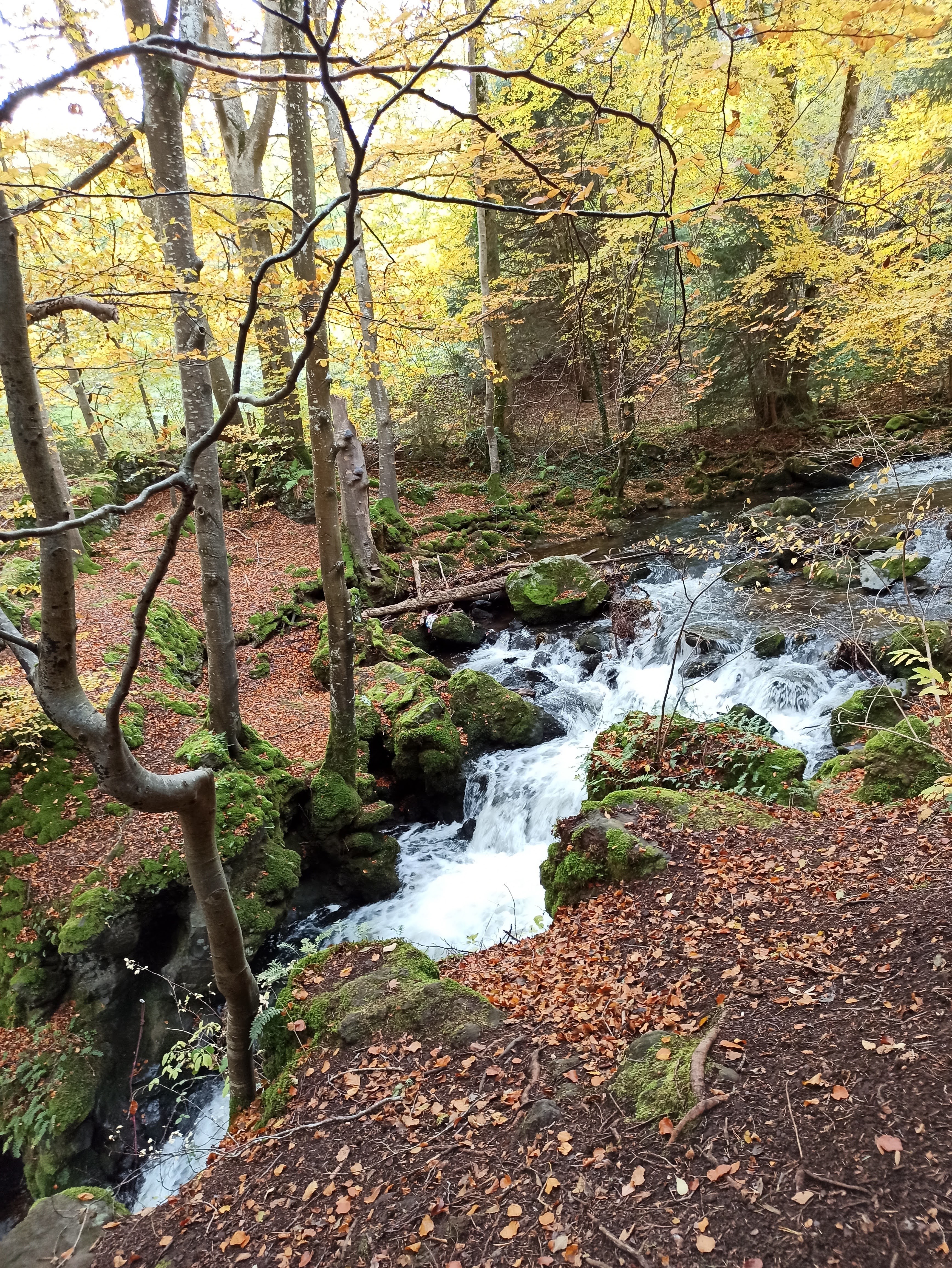 Photo n° 5 de l'avis de GAELLE.e fait le 24/10/2020 à 09:23