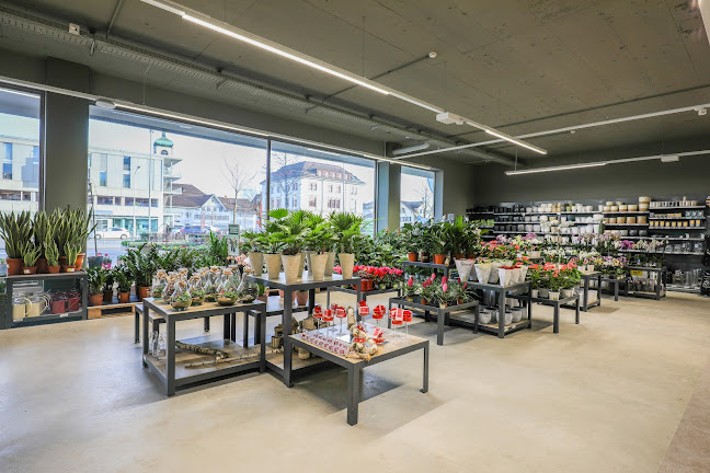 Rezensionen über JUMBO Gossau in Amriswil - Baumarkt