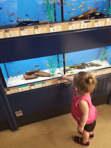 Pet Supply Store «Petco Animal Supplies», reviews and photos, 6015 Stage Rd, Bartlett, TN 38134, USA