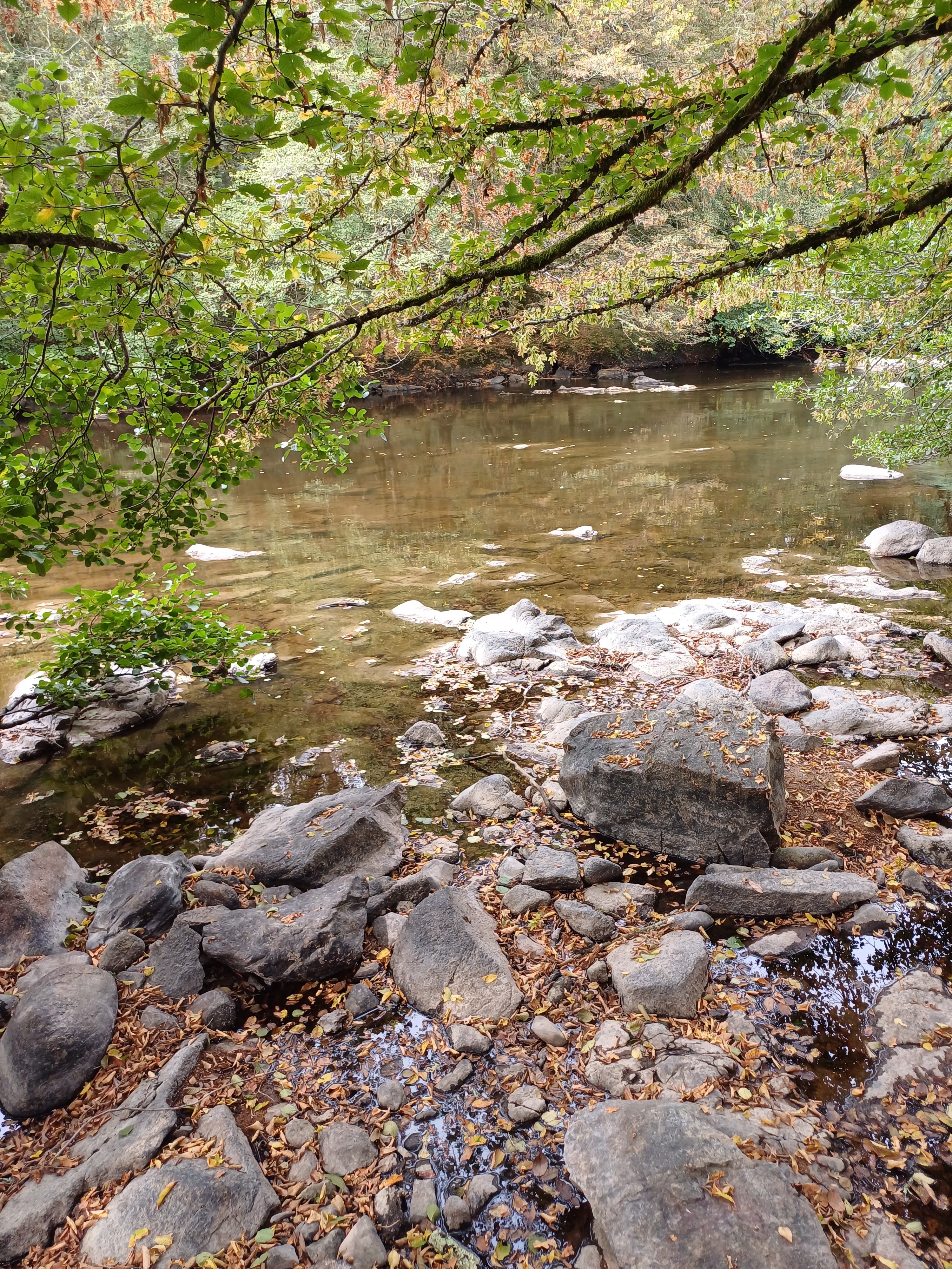 Photo n° 2 de l'avis de Philippe.a fait le 19/09/2023 à 15:29