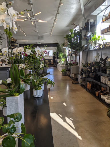 Orchid Grower «Orchid Dynasty», reviews and photos, 959 900 S, Salt Lake City, UT 84105, USA