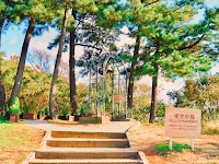 鳥取砂丘 砂の美術館