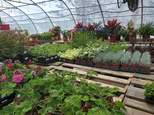 Garden Center «Beachside Gardens & Gifts», reviews and photos, 3725 US-12, Michigan City, IN 46360, USA