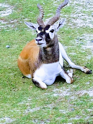 Water Park «Wild Adventures Theme Park», reviews and photos, 3766 Old Clyattville Rd, Valdosta, GA 31601, USA