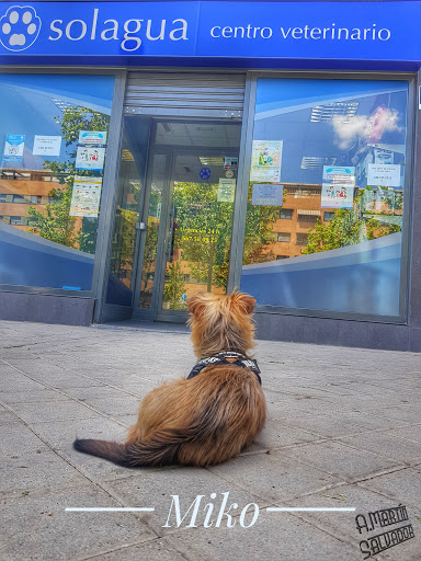 Mivet Clínica Veterinaria Solagua en Leganés