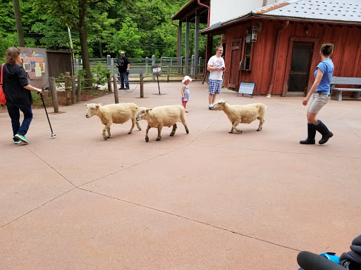 Zoo «Cleveland Metroparks Zoo», reviews and photos, 3900 Wildlife Way, Cleveland, OH 44109, USA