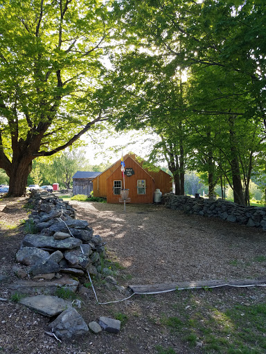 Outdoor Sports Store «Maple Hill Disc Golf», reviews and photos, 132 Marshall St, Leicester, MA 01524, USA