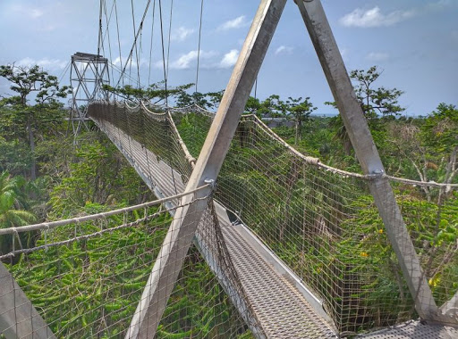 LCC Canopy Walkway, Lekki Conservation Centre Rd, Lekki Penninsula II, Lekki, Nigeria, Amusement Park, state Lagos
