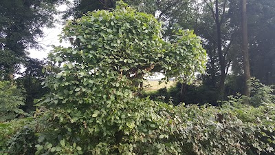 Photos of mini camping De Krekelberg